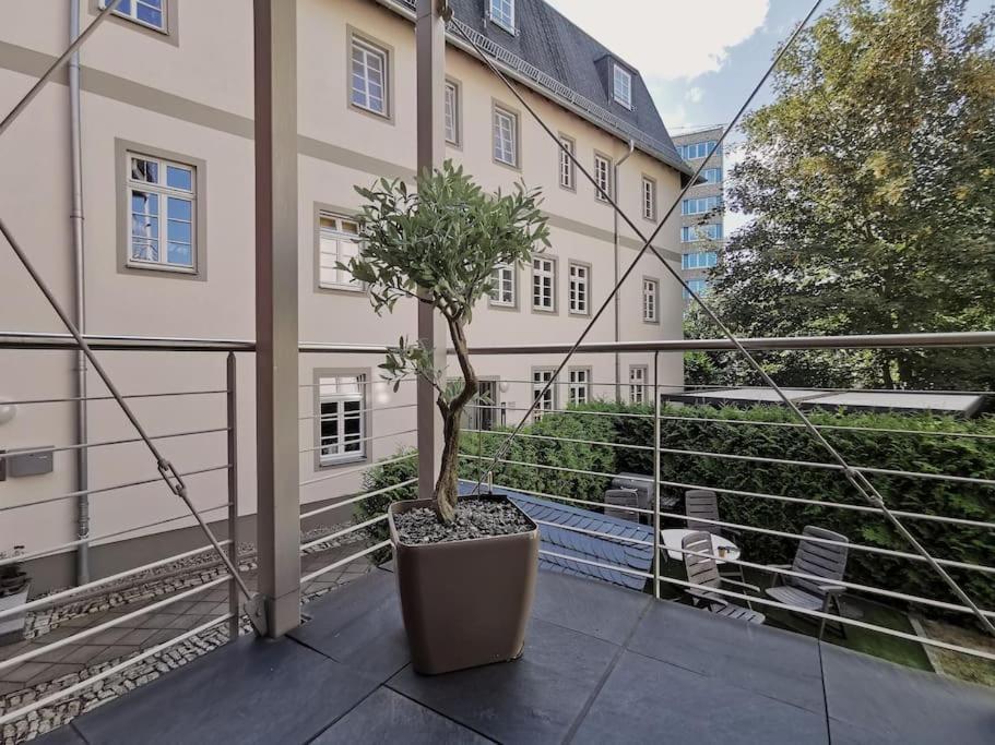 Ferienwohnung Im Bruehl Erfurt Extérieur photo