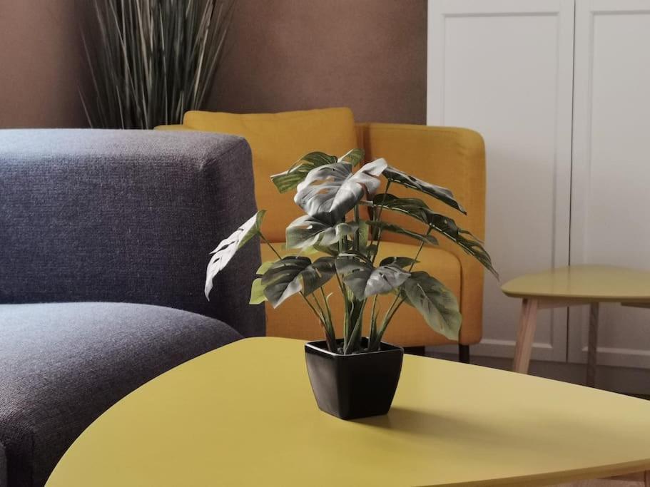 Ferienwohnung Im Bruehl Erfurt Extérieur photo